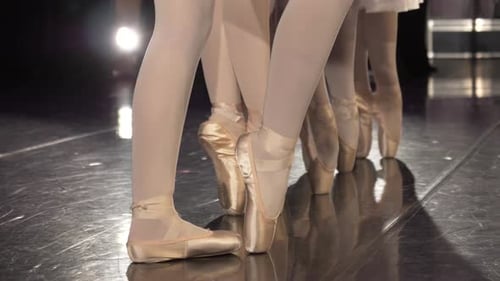 Close Up Female Ballerinas En Pointe in Ballet Shoes Adult