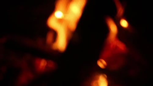 Flames Burn on Logs at Night
