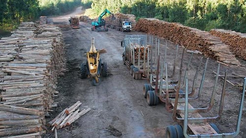 At logging forestry landing, truck is loaded with logs with boom
