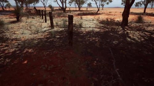 Desert Fence Line Fly Through