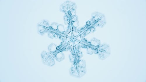 Snowflake under microscope