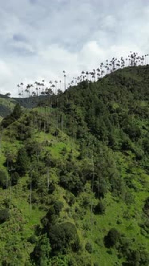 Aerial video over Salento towards a lush forested valley in the mountains of Colombia, Colombia