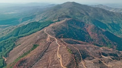 Las imágenes aéreas muestran los efectos duraderos de un devastador incendio forestal.