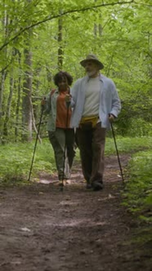 Adult Travelers Walking along Forest Paths Using Hiking Poles