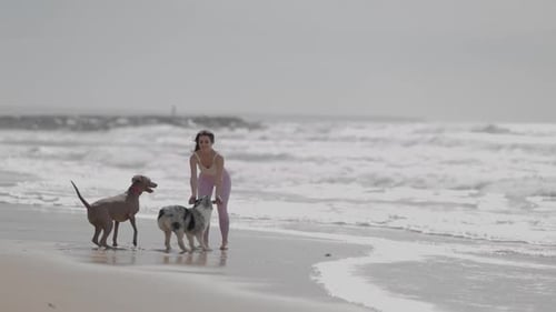 Young Woman Training Dogs on the Beach Shoreline