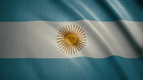 Waving Argentina Flag Seamless Loop National Symbol