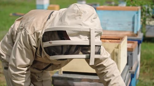 Beekeeping process. Professional apiarist in protective overalls and hat examining bees on a frame.