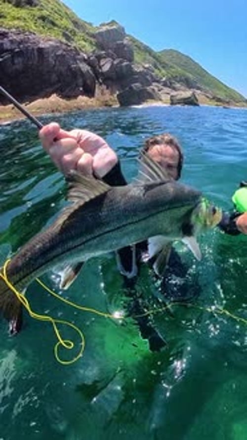Fisherman with Speargun Swims on the Sea Surface with His Trophy Fish