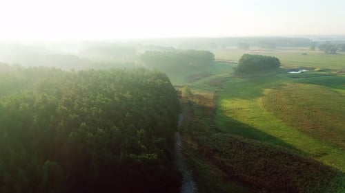 Amazing Morning Green Meadow And Forest In Mist