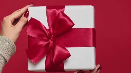 Festive Wrapped Gift with a Red Bow