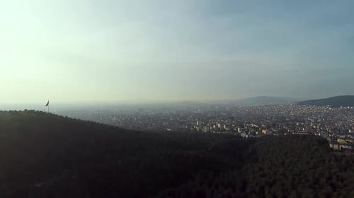 Wald und Stadt aus der Luft