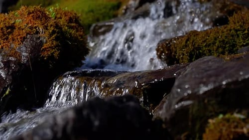 Unberührter Gebirgsbach, der über moosbewachsene Felsen fließt Kristallklares Quellwasser, das kaskadiert mit