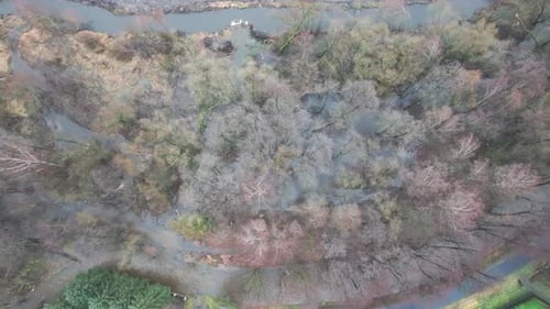 Aerial top down view of rural area swamp, river and bare tree forest