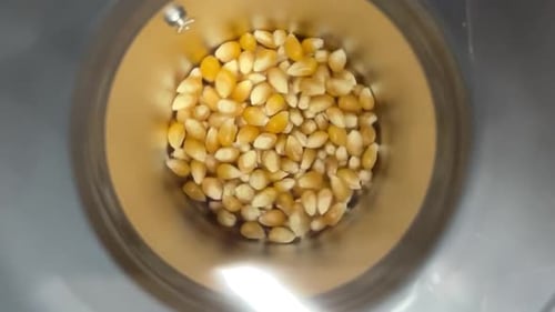 Hot air popcorn rotating fresh corn with hot air turbine. Converting corn into popcorn with dry hot