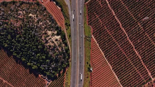 An einem sonnigen Tag durch Weinberge in Spanien fahren