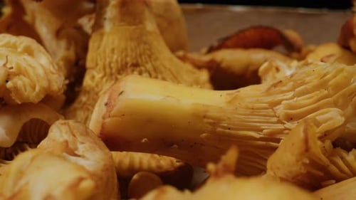 Cooking Chanterelles Closeup Macro Grilled Mushrooms Closeup Roasted Chanterelles and a Wooden Spoon