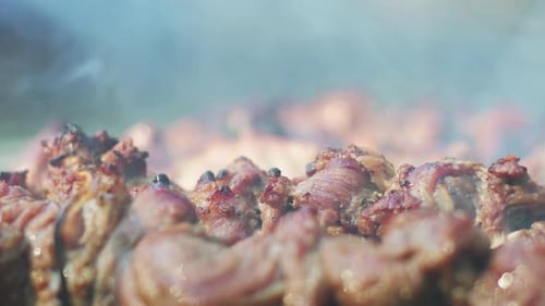 Fleisch-Kebab beim Picknick grillen. Rauch vom Holzkohlegrill. Fleisch aus nächster Nähe