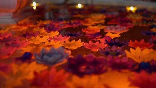 floating flowers and candles in a pool, video taken in a buddhist temple. camera sony a7iii, 4K, 29,