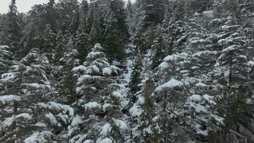 Epic Snowy White Winter and Snow Capped Mountain Range