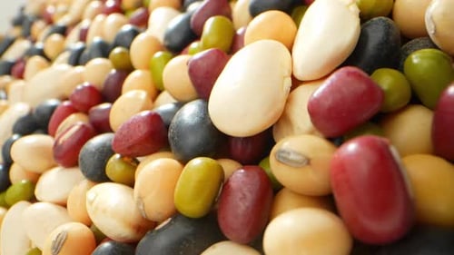 Pile of Assorted Beans Close Up