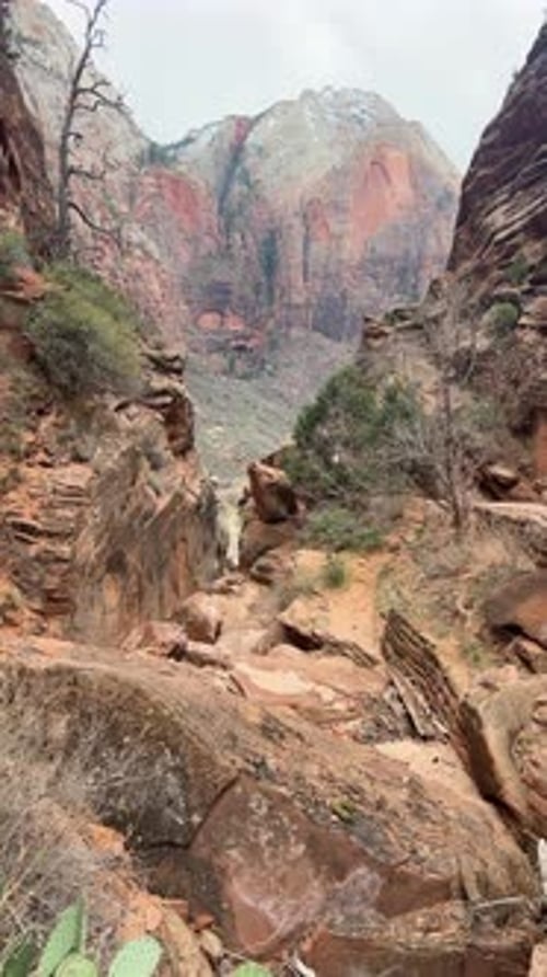 Rock Formations of Zion National Park USA and Immerse Yourself in the Stunning Beauty of Its