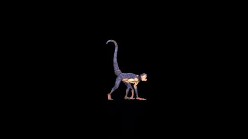 Black Monkey Walk