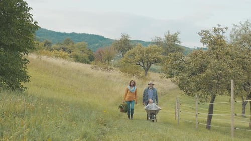 Senior Couple with Grandaughter Gardening in the Backyard Garden Allotment