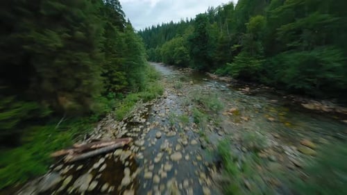 Flight Over a Mountain River Shot on FPV Drone British Columbia Canada