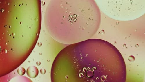 Abstract Colorful Organic Food Oil Drops Bubbles On Water Surface 006