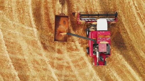 Cosechadora con vista aérea desde arriba que sobrecarga el grano de las cosechadoras combinadas al camión de granos en el campo