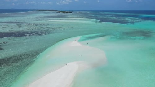 People Walking at the Tropical Beach