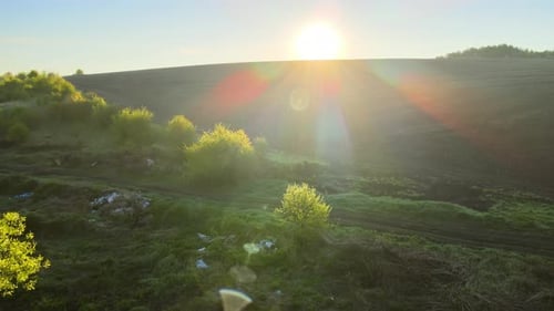 Pile of Litter Garbage Thrown Out in Green Grass