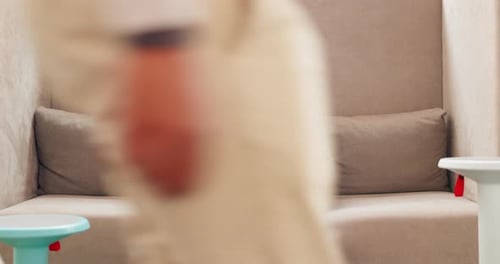 Computer, typing work and sofa with a man in a office on technology writing and email