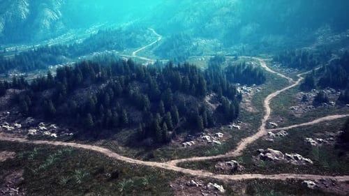 A Winding Dirt Road Through a Lush Forest Seen From Above