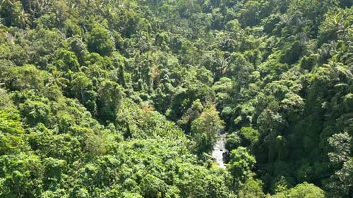 Luftaufnahme des Gebirgsflusses und der grünen Waldbäume in der Landschaft der Waldnatur