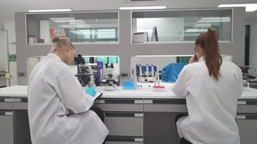 Two Scientists Working in Modern Research Laboratory