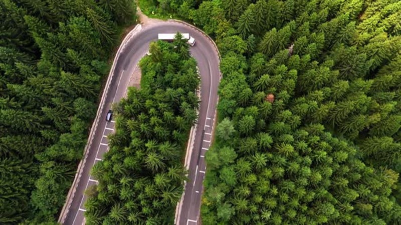 Vehicles travel along a winding road through a dense forest in daylight ...