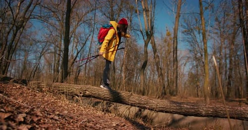 Backpacker Hiker Girl with Hiking Poles Walking Between Trees in a Mountain Forest Hispanic Teenager