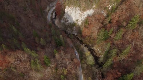 Aerial View of a Autumn Forest Through Which a Winding Road Passes in the Mountains