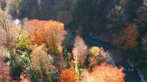 Khosta river at autumn. Flight over the river of Khosta in Caucasus Mountains during sunny day