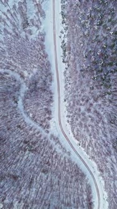Vertical Winding Road Through Snowy Forest Aerial View