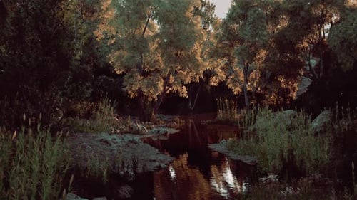 Tranquil Evening at a Secluded Stream Surrounded By Lush Trees and Grass