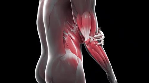 Man Suffering From Elbow Pain