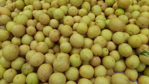 Citrons jaunes mûrs en gros plan, fond ou texture. Récolte de citrons, de nombreux citrons jaunes.