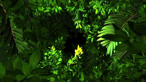 Deep Forest Foliage