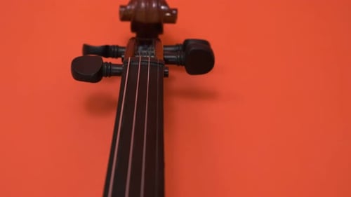 Close Up of Violin on Orange Background