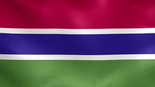 Realistic Waving Flag Animation Background