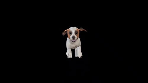 Puppy Run Front Angle