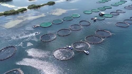 Aerial View Of Fish Ponds In The Dam Lake