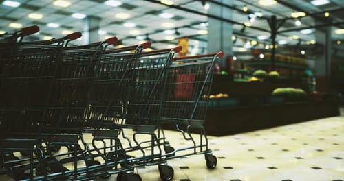 Shopping Carts Lined Up in a Spacious Grocery Store During Daytime